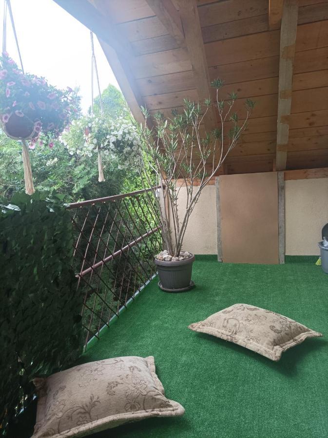 Apartmani Marija Zemun Zemun Polje Exterior photo