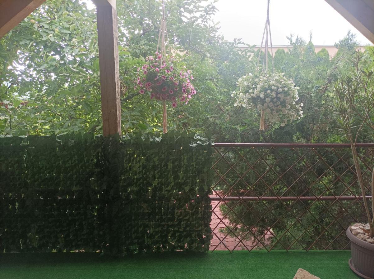 Apartmani Marija Zemun Zemun Polje Exterior photo